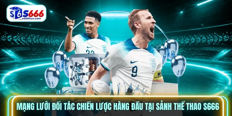 Mạng lưới đối tác chiến lược hàng đầu tại sảnh thể thao S666